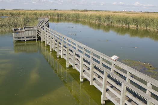 Nature observation deck in port aransas