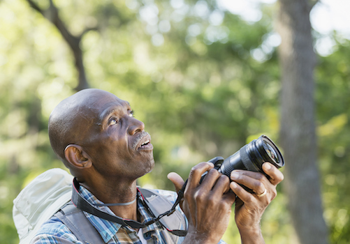 bird watching in Port Aransas