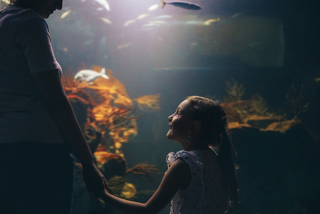 girl and mom at aquarium girl and mom at aquarium