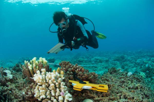Marine Biologist