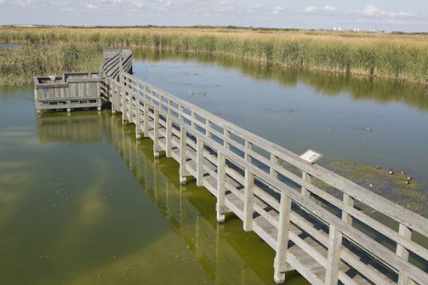 Nature observation deck in port aransas