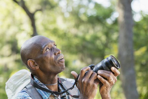 bird watching in Port Aransas