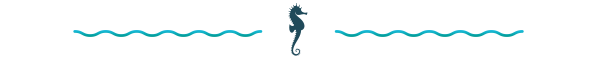 Decorative seahorse divider