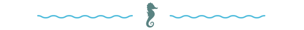 starkey branded divider with seahorse starkey branded divider with seahorse