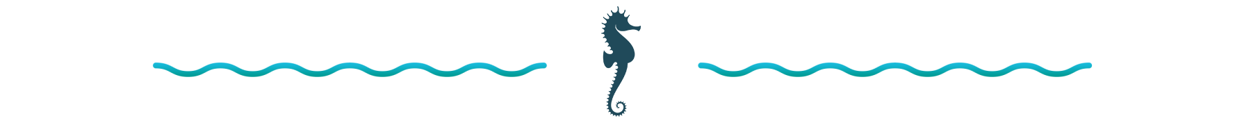 Decorative seahorse divider