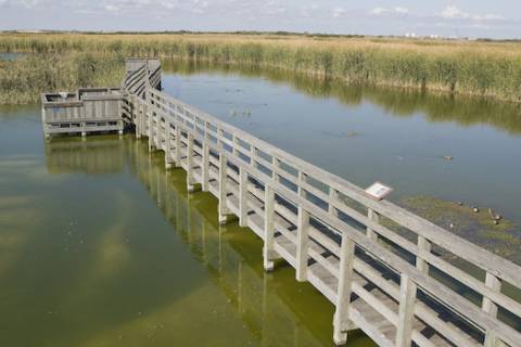 Nature observation deck in port aransas