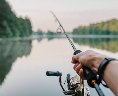 fishing fishing
