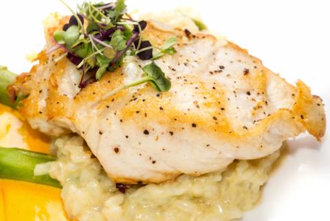 grouper dish grouper dish